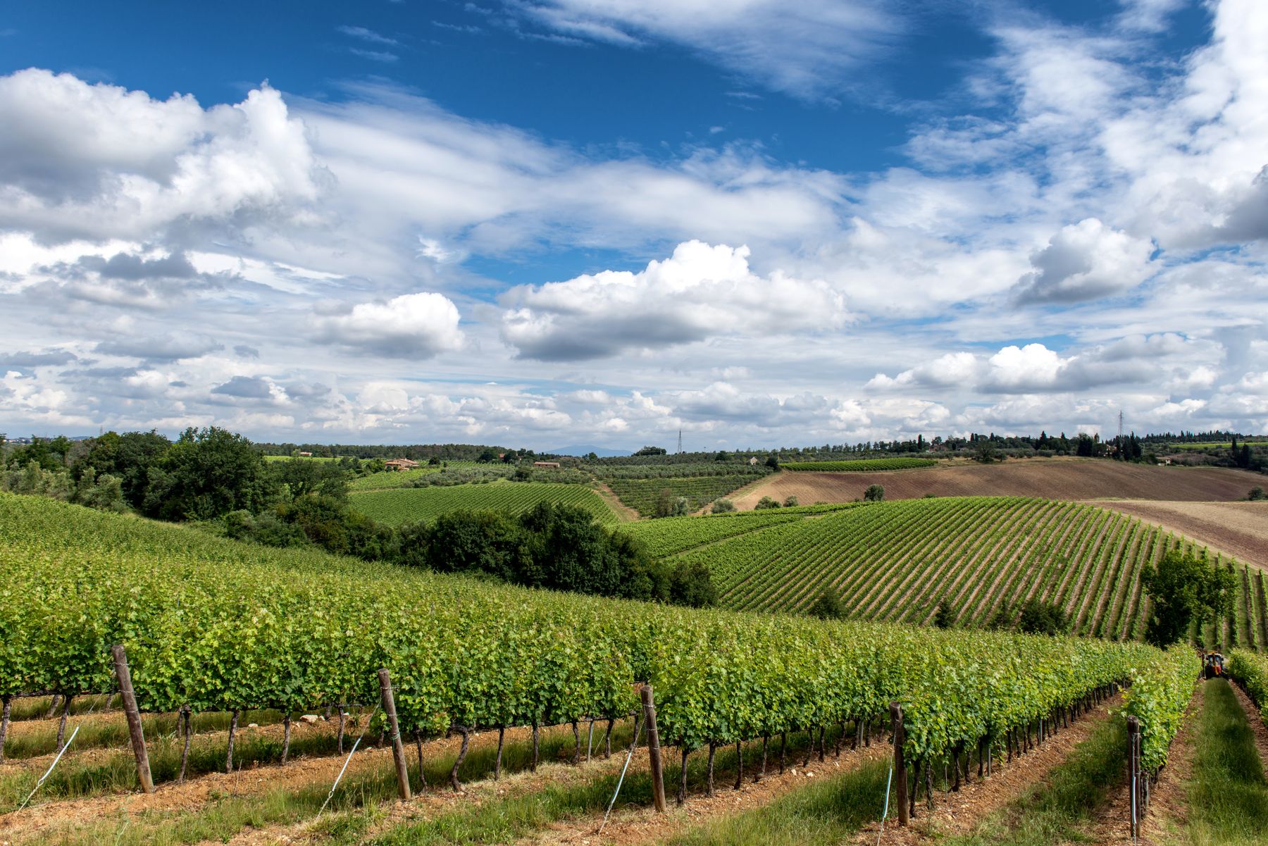 Vineyards and countryside in Tuscany under an open sky